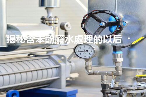 揭秘含苯酚廢水處理的以后？